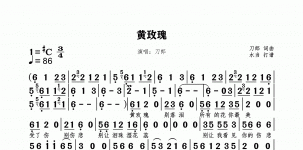黄玫瑰