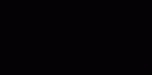 枯萎的玫瑰也曾绽放过