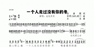 一个人走过没有你的冬