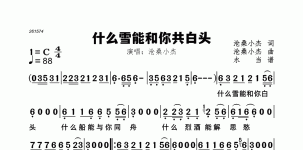 什么雪能和你共白头