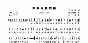 你赐给我的伤