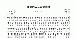 我爱的人从未爱我过