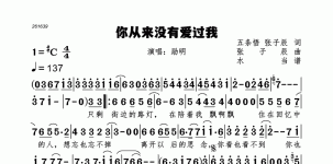 你从来没有爱过我