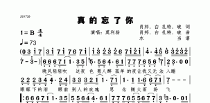 真的忘了你
