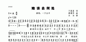 她该去何处一只白羊