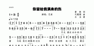 你留给我满身的伤