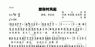 想你时风起
