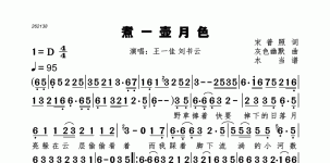 煮一壶月色