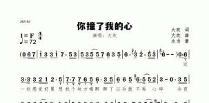 你撞了我的心