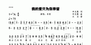 我的爱只为你停留