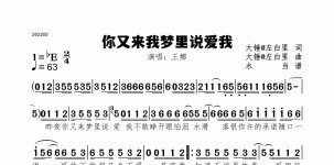 你又来我梦里说爱我
