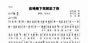 这场雨下完就忘了你