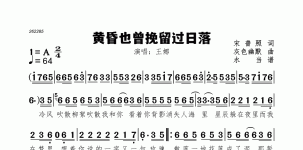黄昏也曾挽留过日落