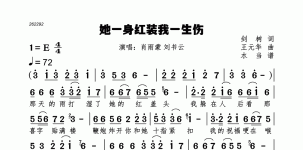 她一身红装我一生伤