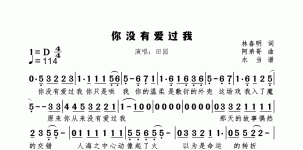 你没有爱过我