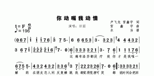 你动嘴我动情