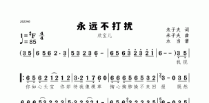 永远不打扰