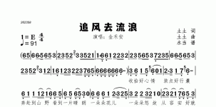 追风去流浪
