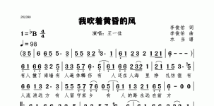 我吹着黄昏的风