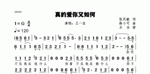 真的爱你又如何
