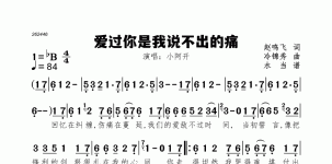 爱过你是我说不出的痛