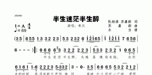 半生迷茫半生醉
