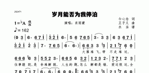岁月能否为我停泊