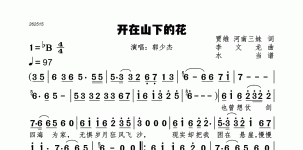 开在山下的花