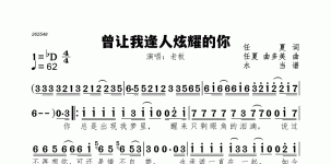 曾让我逢人炫耀的你
