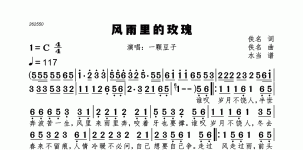 风雨里的玫瑰