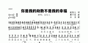 你是我的劫数不是我的幸福